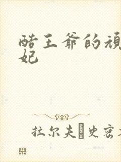 酷王爷的顽皮王妃