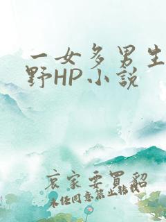 一女多男生活狂野HP小说