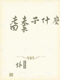 老夫子什么时候回来