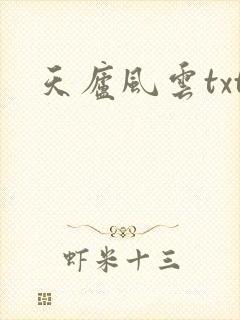 天庐风云txt