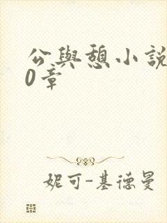 公与憩小说400章