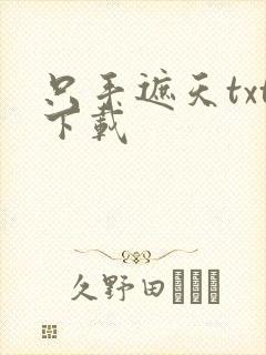 只手遮天txt下载