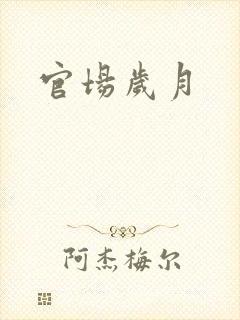 官场岁月