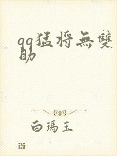 qq猛将无双辅助