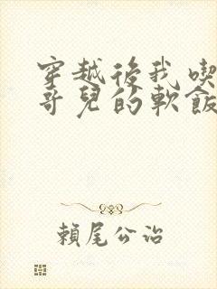 穿越后我吃到了哥儿的软饭炉山灰