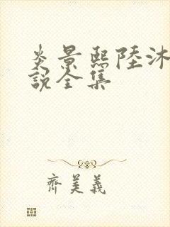 炎景熙陆沐擎小说全集