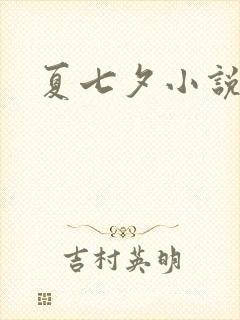 夏七夕小说