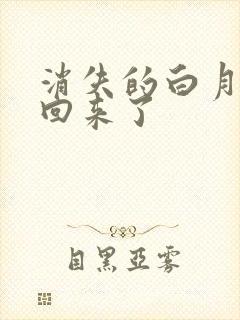 消失的白月光又回来了