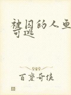 被囚的人鱼无处可逃