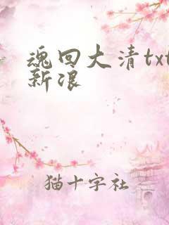 魂回大清txt新浪