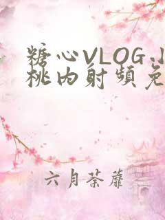 糖心VLOG小桃内射频免费