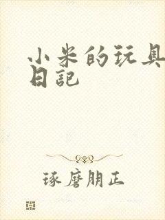 小米的玩具羞辱日记