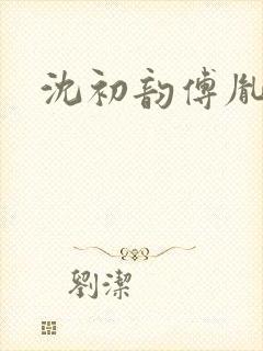 沈初韵傅胤小说