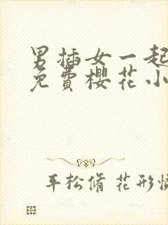 男插女一起爽的免费樱花小视频