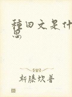 种田文是什么意思
