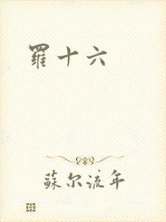 罗十六