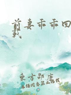 前妻乖乖回来下载