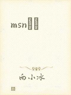 msnС˵
