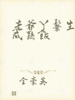 老爷丫鬟生米煮成熟饭