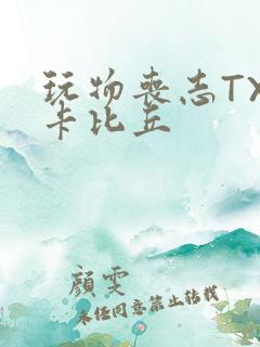 玩物丧志TXT卡比丘