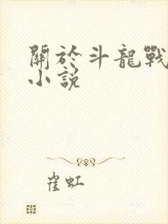 关于斗龙战士的小说