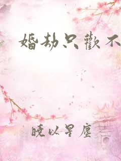 婚劫只欢不爱