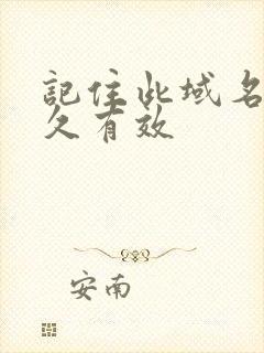 记住此域名记永久有效