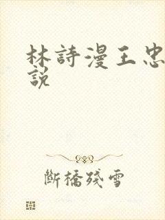 林诗漫王忠文小说