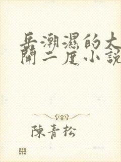 岳潮湿的大肥梅开二度小说