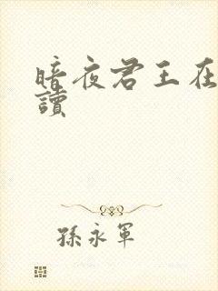 暗夜君王在线阅读