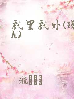 戏里戏外(现场h)