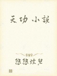 天功 小说