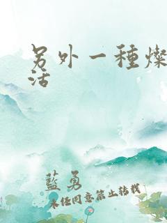 另外一种灿烂生活