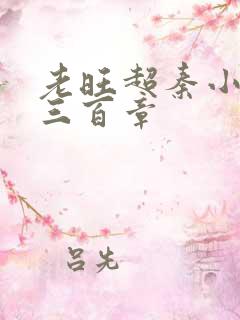 老旺超秦小雨第三百章