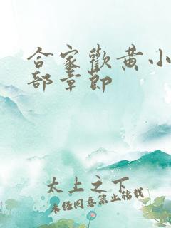 合家欢黄小梅全部章节