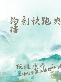 狗剩快跑央八首播