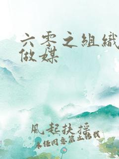 六零之组织给我做媒