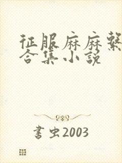 征服麻麻系列大合集小说