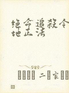 绝命追杀令2就地正法