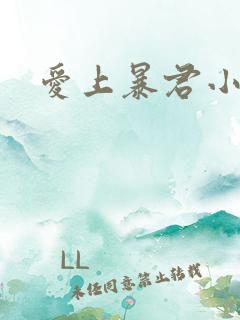 爱上暴君小甜心