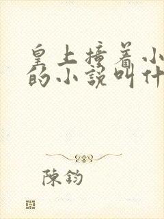 皇上撞着小公主的小说叫什么