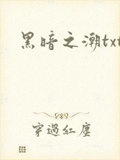 黑暗之潮txt