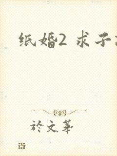 纸婚2 求子记