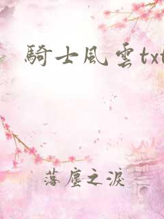 骑士风云txt
