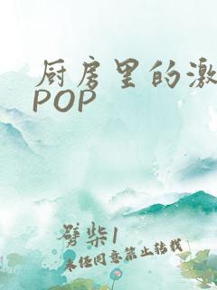 厨房里的激战2POP