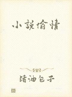 小说偷情