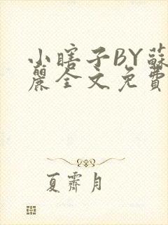 小瞎子BY苏玛丽全文免费笔趣阁