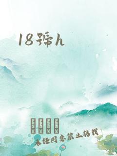 18号h