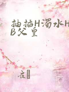抽插H浊水H嫩B父皇