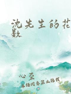 沈先生的花式调数